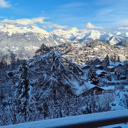Chalet Les Anémones Vercorin