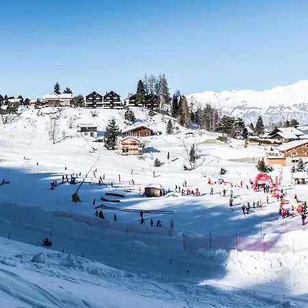 Chalet Les Anémones Vercorin