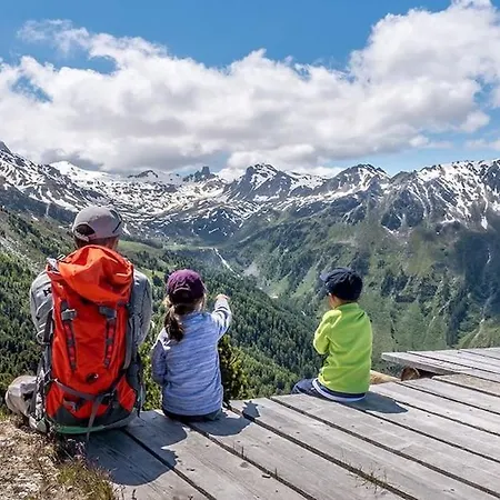 Les Anemones 维尔科林