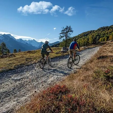Les Anemones 木屋 维尔科林