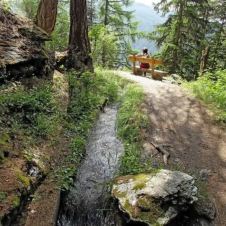 Chalet Les Anémones