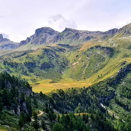 Chalet Les Anémones *