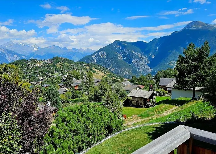 Les Anemones 维尔科林