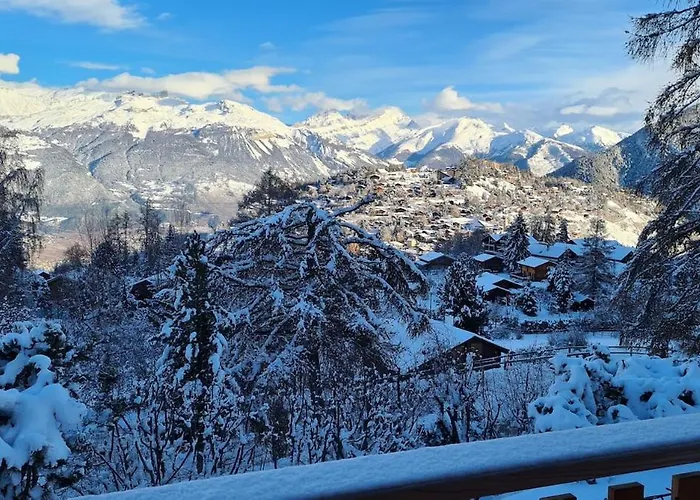 Chalet Les Anémones Vercorin