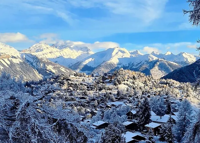 木屋 Les Anemones *