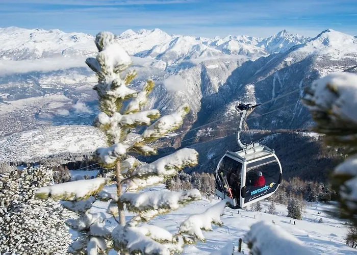 Chalet Les Anémones *