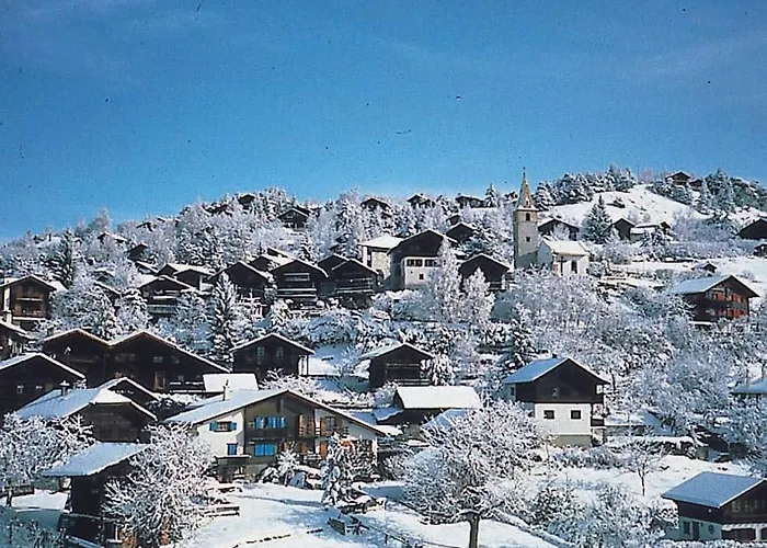 Les Anemones * 维尔科林