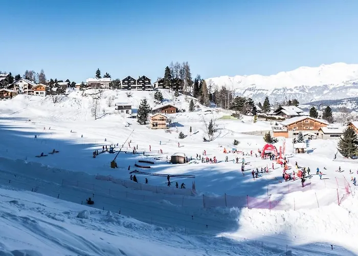 Chalet Les Anemones Vercorin